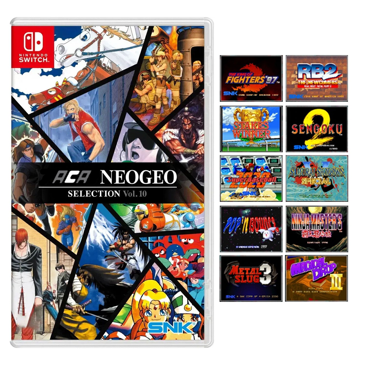 Nintendo Switch ACA Neogeo Selection Vol.10