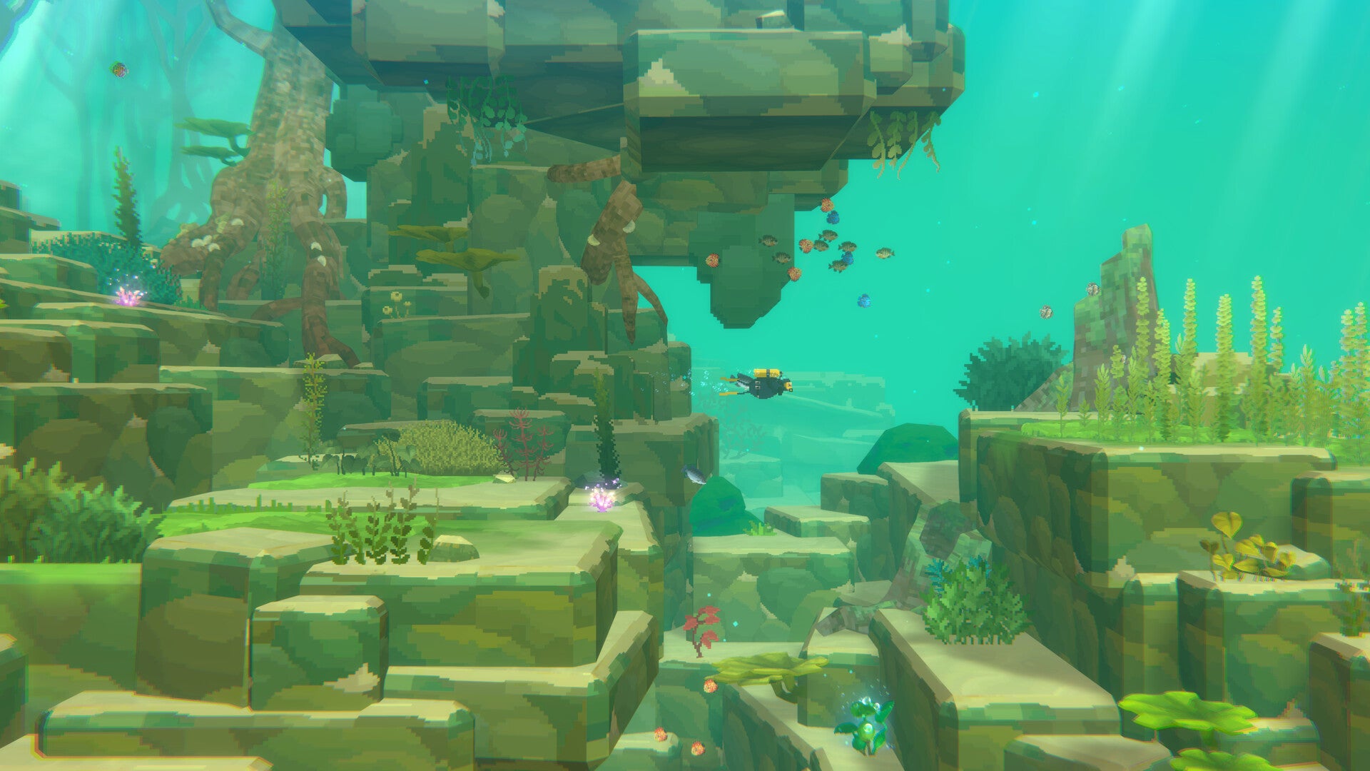 Nintendo Switch 2 Dave the Diver [Complete Edition]