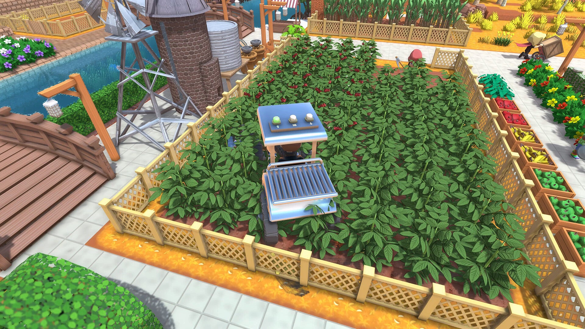 Nintendo Switch Dinkum