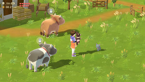 Nintendo Switch Harvest Moon: Home Sweet Home [Special Edition]