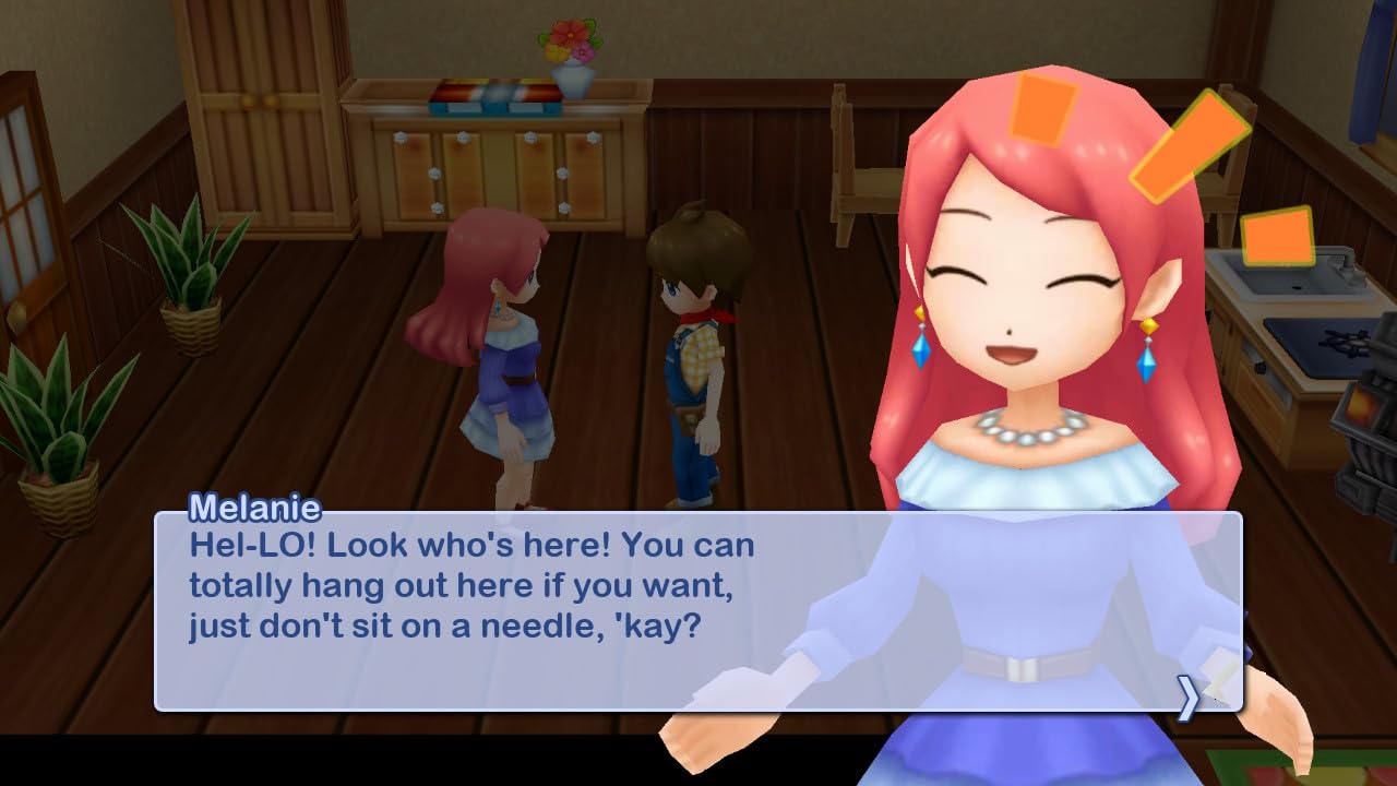 Nintendo Switch Harvest Moon The Lost Valley & Skytree Village