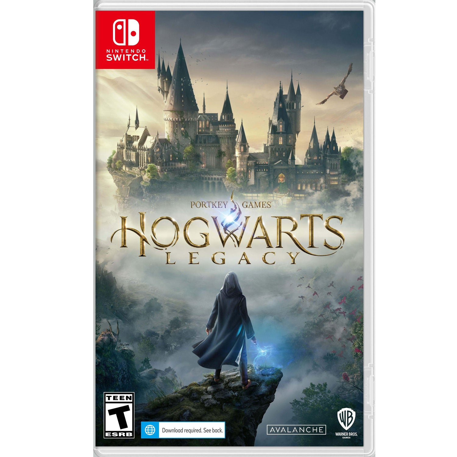 Nintendo Switch Hogwarts Legacy