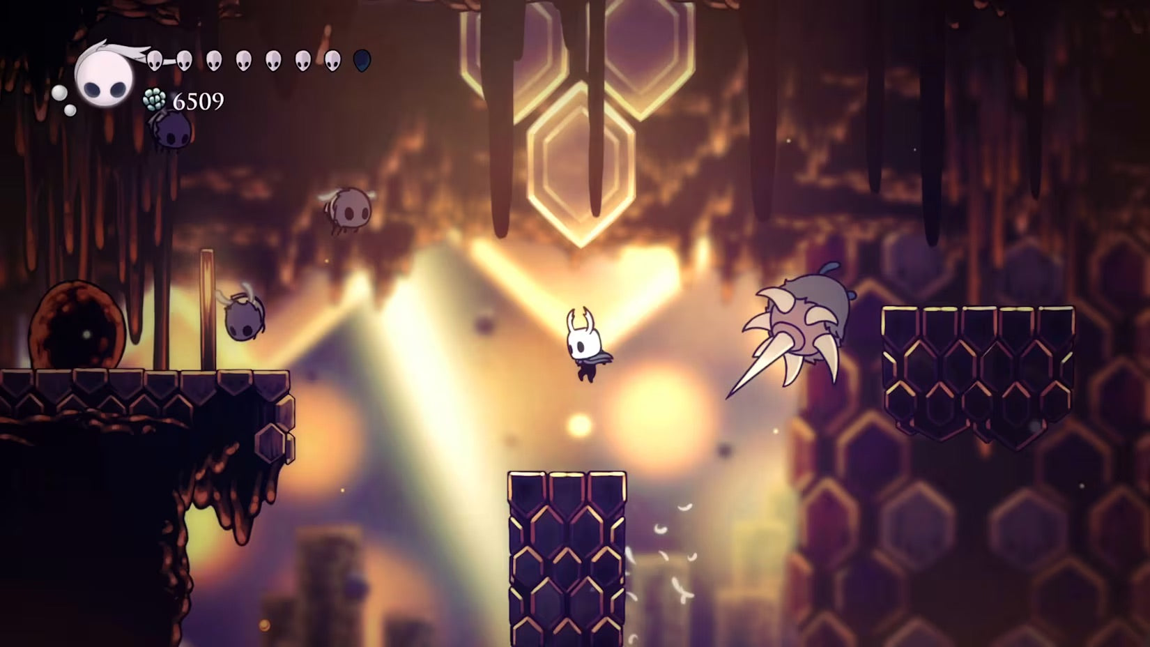 PS5 Hollow Knight