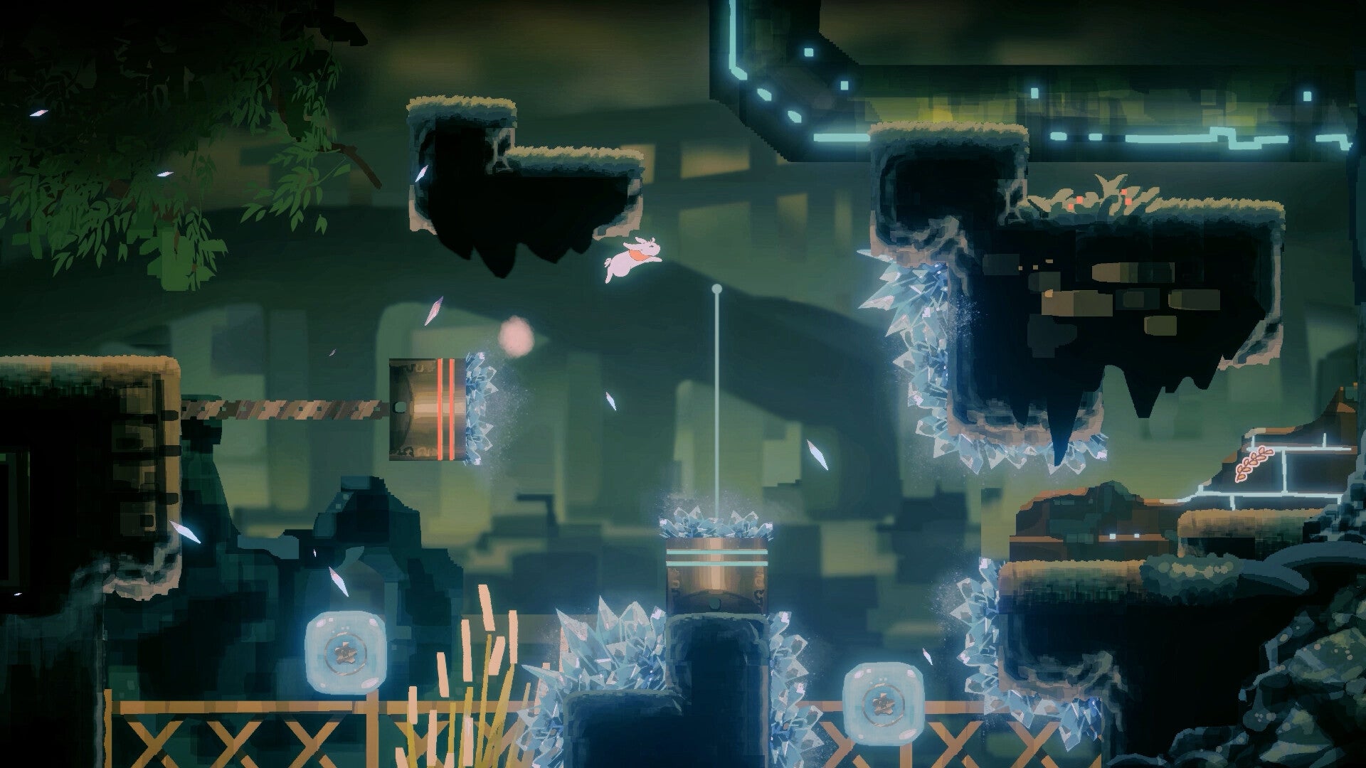 Nintendo Switch Lapin