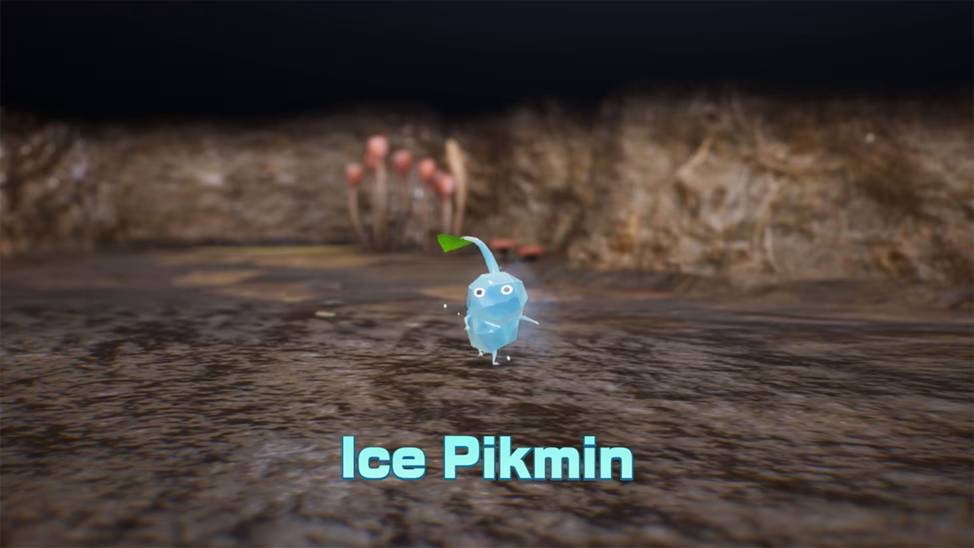 Nintendo Switch 2 Pikmin 4 Nintendo Switch 2 Edition + Dandori Academy