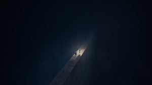 Nintendo Switch 2 Reanimal [Deluxe Edition]