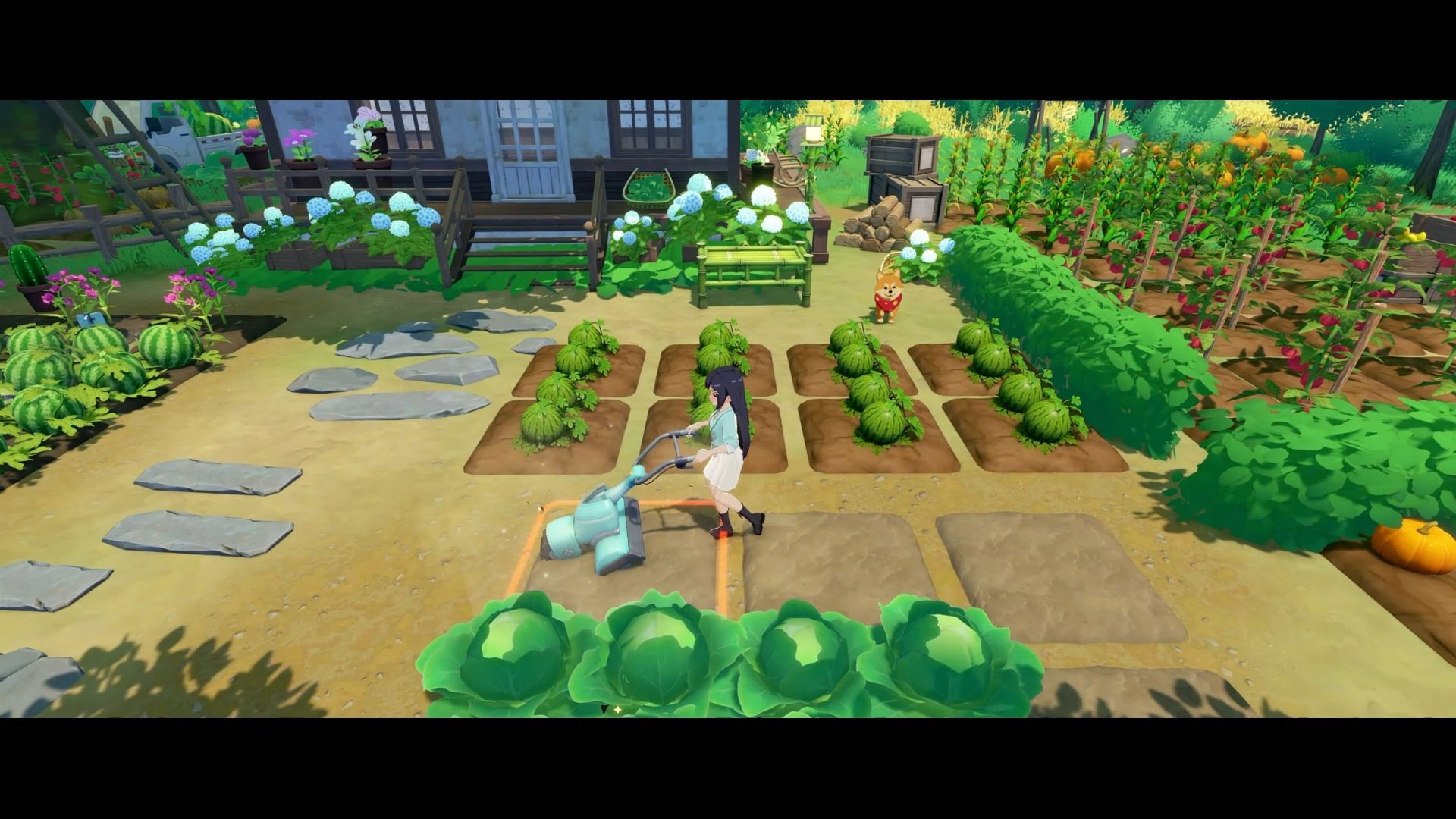 PS5 Starsand Island