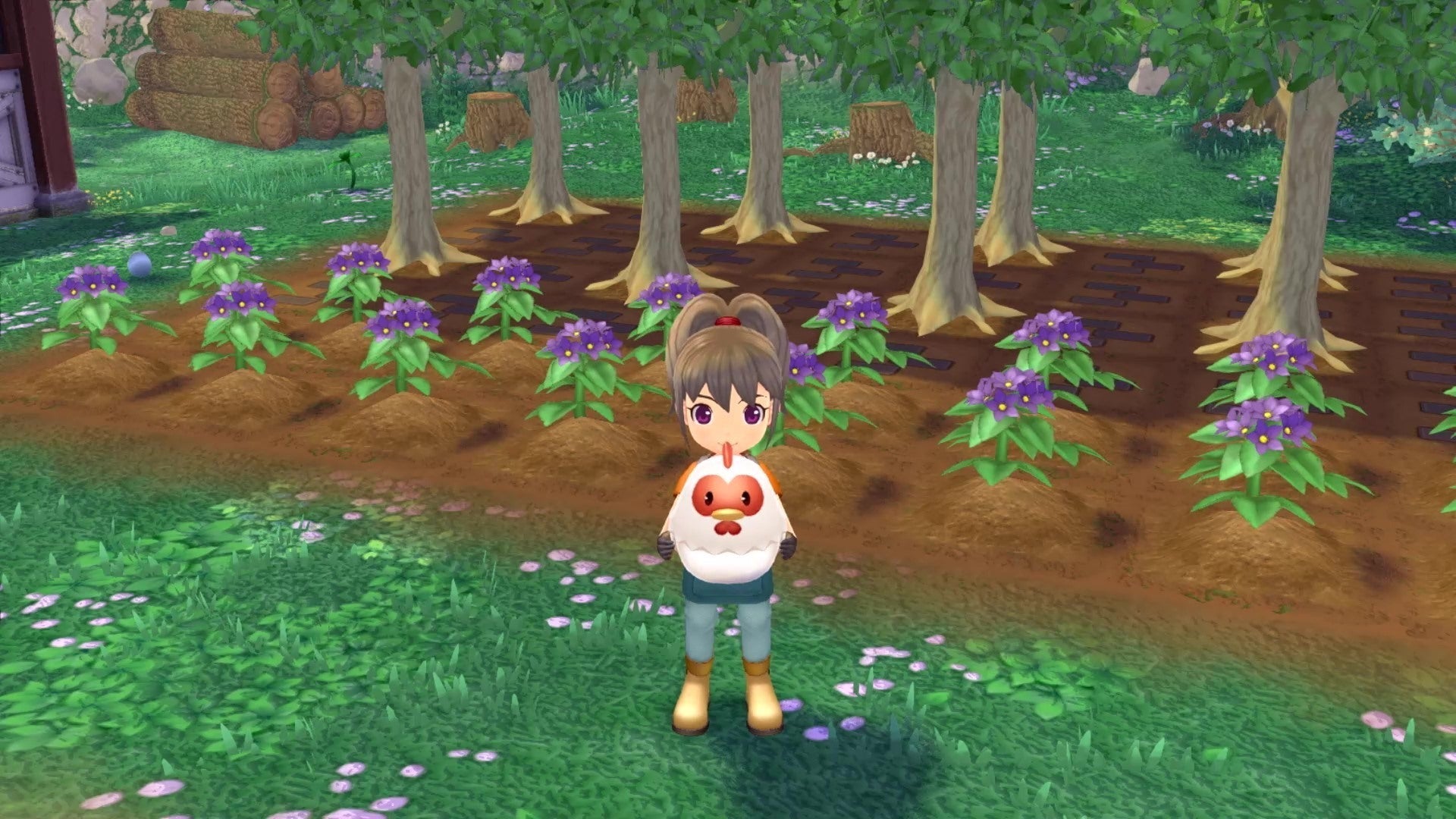 Nintendo Switch Story of Seasons: A Wonderful Life