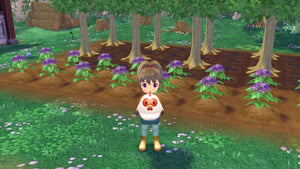 PS5 Story of Seasons: A Wonderful Life (English)