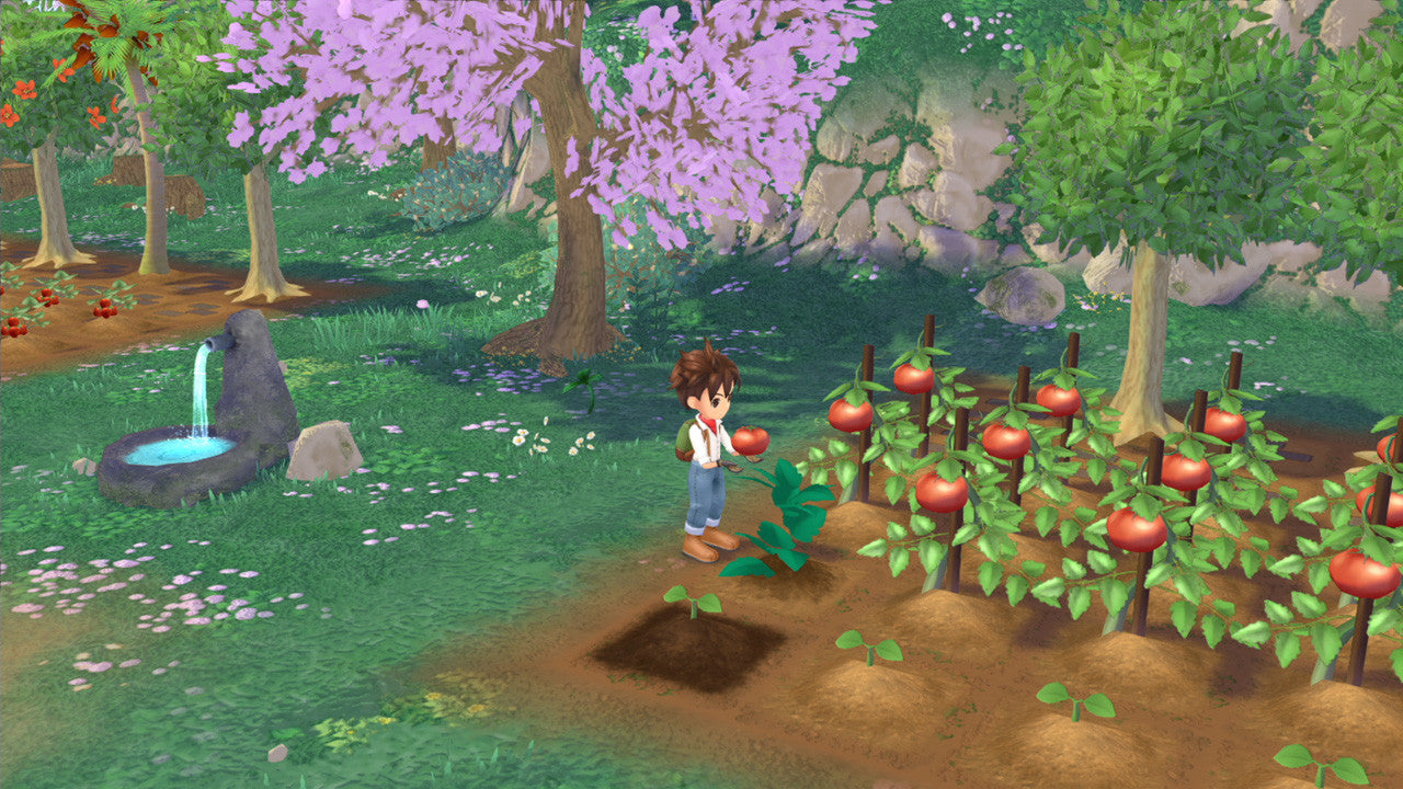 PS5 Story of Seasons: A Wonderful Life [牧场物语 Welcome！美丽人生] (Chinese)