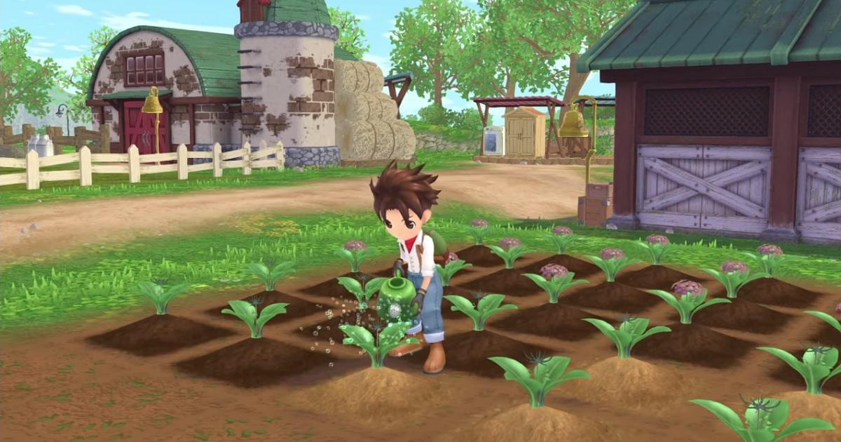 Nintendo Switch Story of Seasons: A Wonderful Life