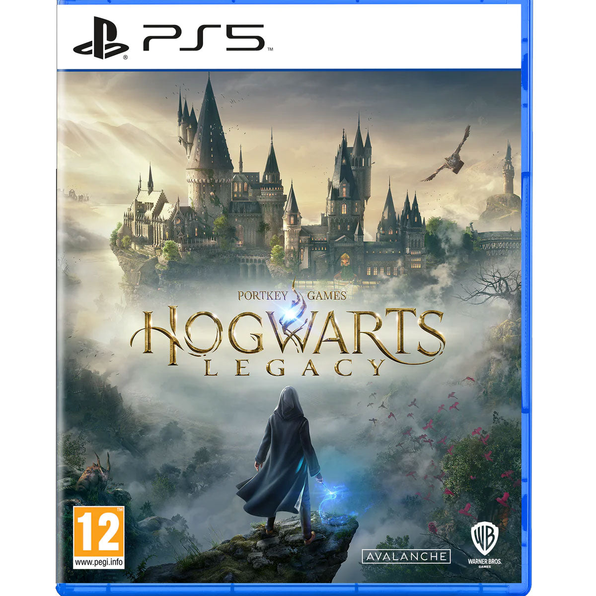PS5 Hogwarts Legacy