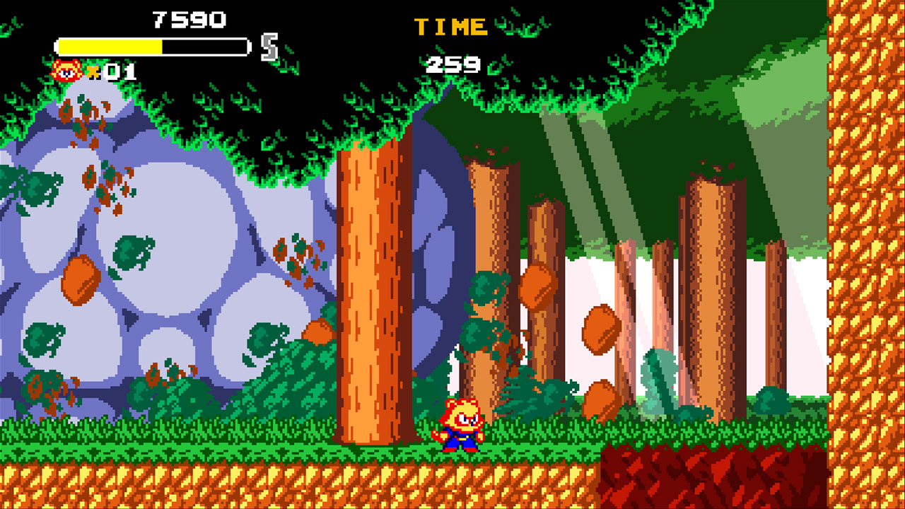 Nintendo Switch Tanuki Justice