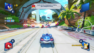 PS4 Team Sonic Racing [30th Anniversary Edition]