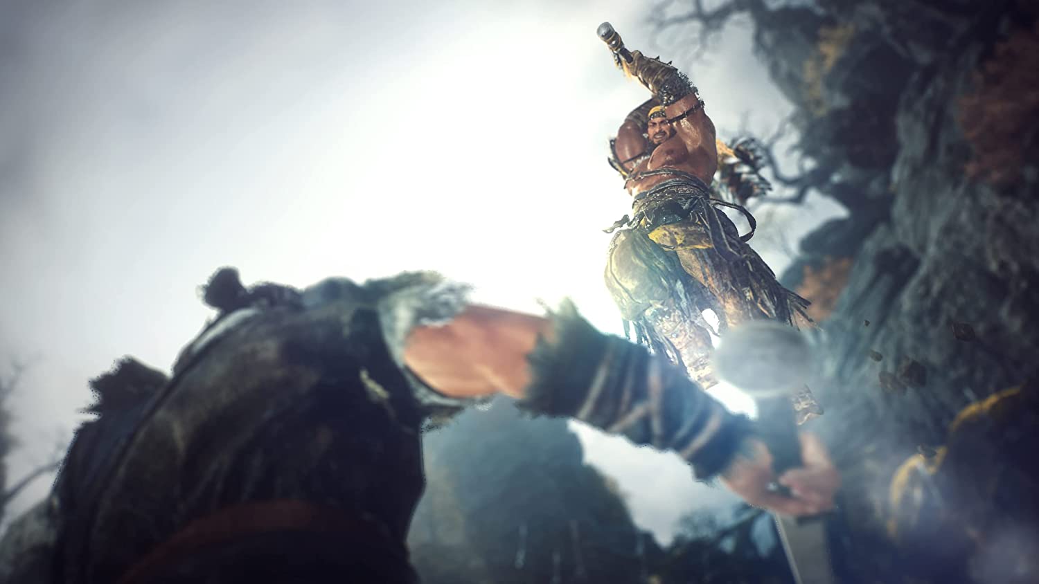 PS4 Wo Long: Fallen Dynasty