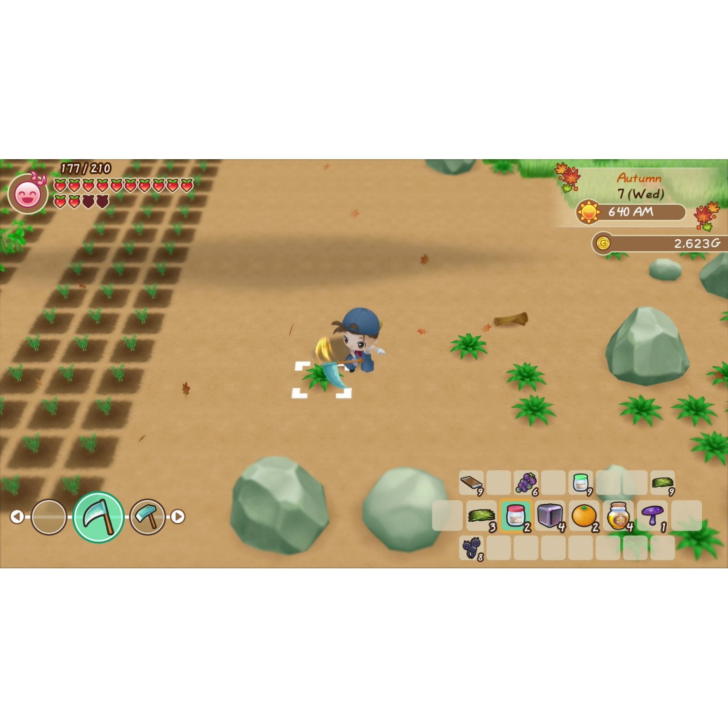 Nintendo Switch Story of Seasons: Friends of Mineral Town
