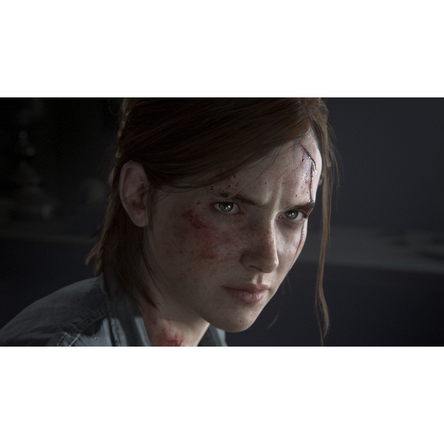 PS4 The Last of Us Part 2