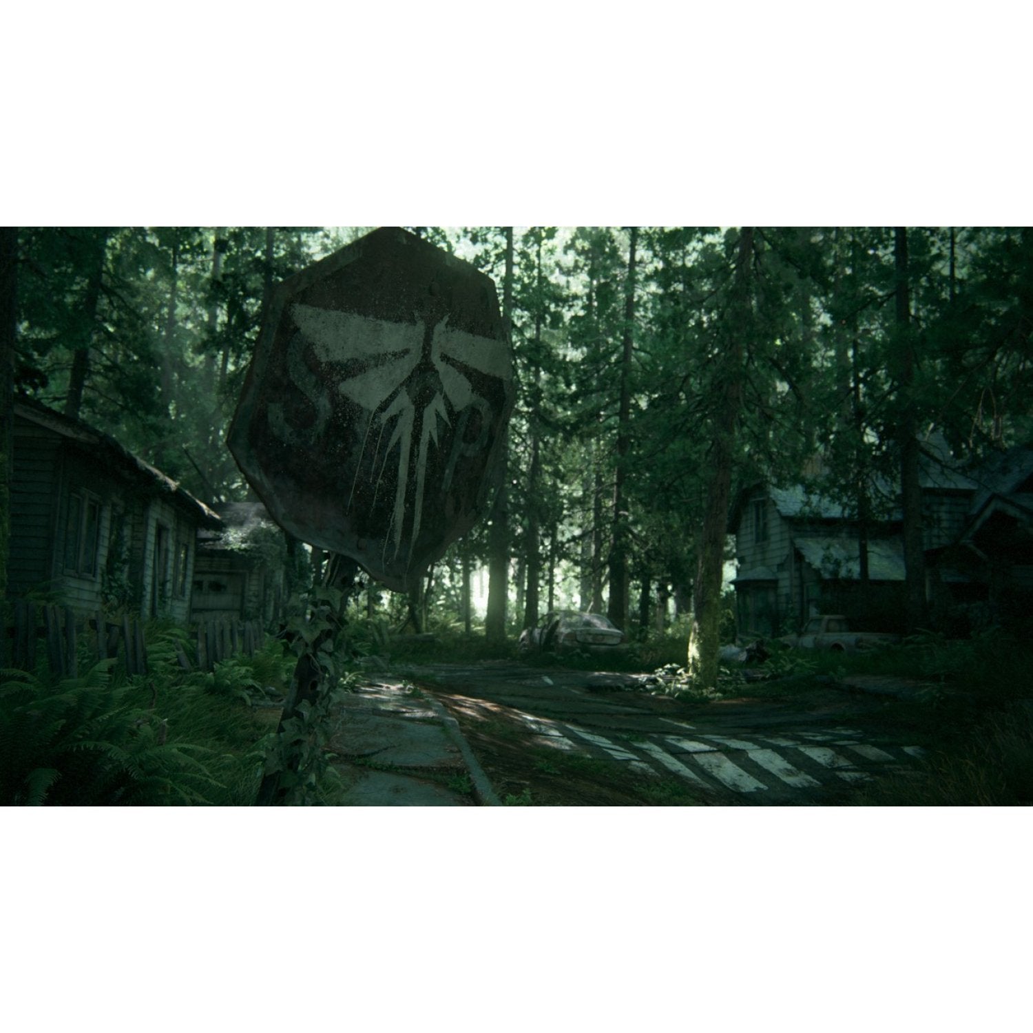 PS4 The Last of Us Part 2