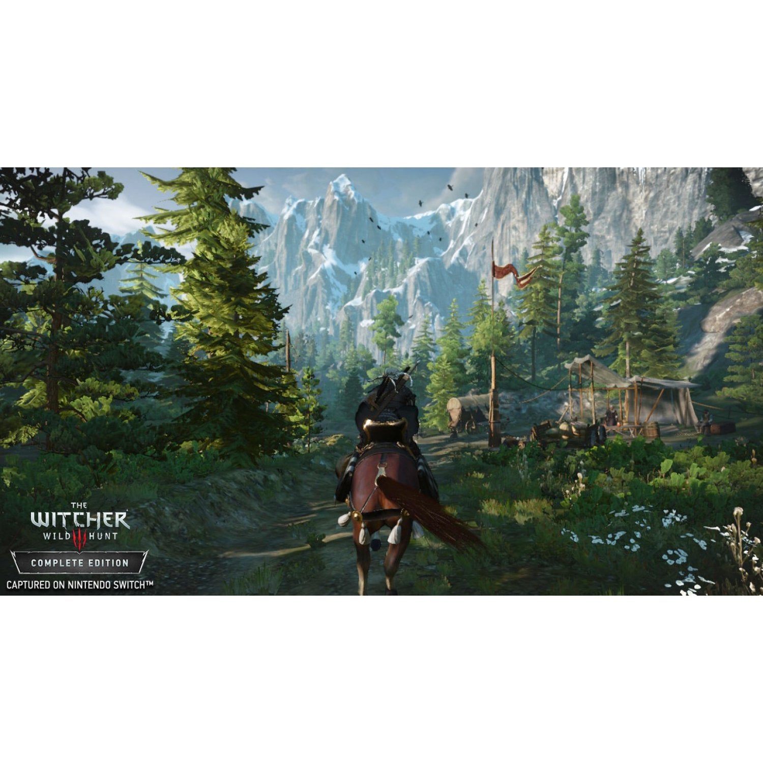 Nintendo Switch The Witcher 3: Wild Hunt
