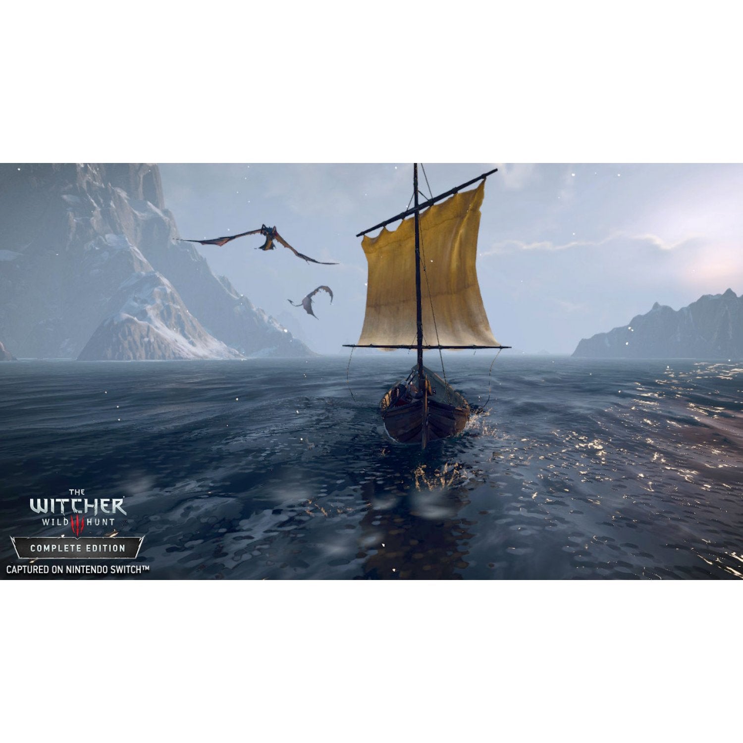 Nintendo Switch The Witcher 3: Wild Hunt